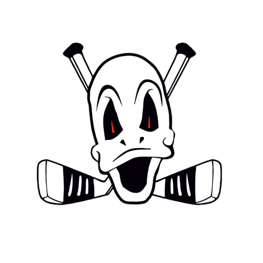 Danube Ducks Logo